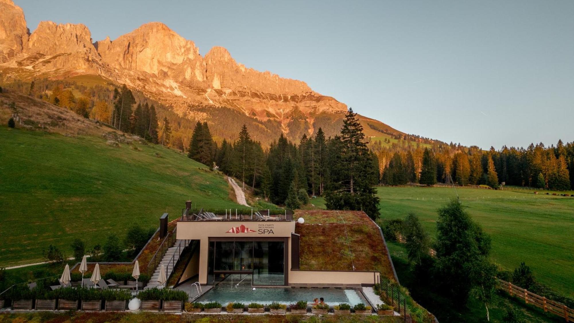Moseralm Dolomiti Spa Resort Нова-Леванте Екстер'єр фото